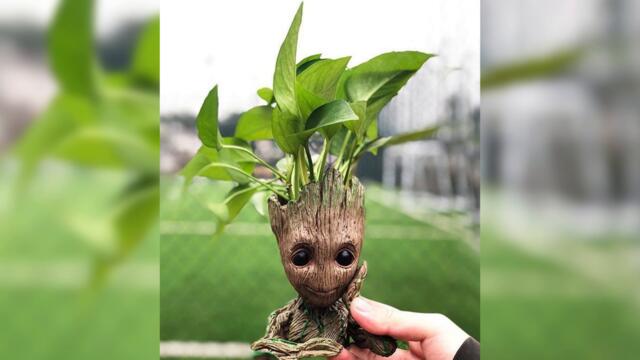 Мелочь, а приятно! (2 серия)