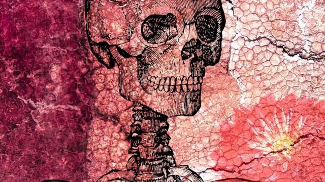 The Great Twitch - Practical Effects [Music Video]