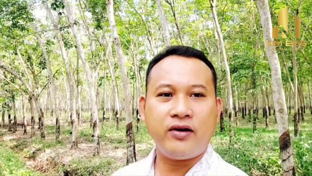 Đất Dầu Tiếng | Định Hiệp - Dầu Tiếng - cần ra gấp lô đất nhựa- dân Full#346