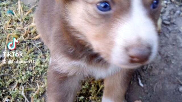 4cb3cb231866b2322f8b9c663465af46