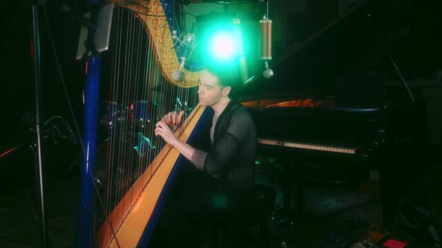 Joanna Newsom | Sprout and the Bean | Live cover by Sean O'Reilly