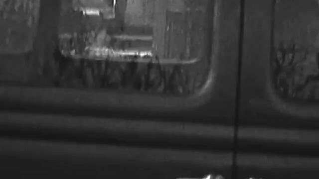 Rosa Lavenne - I See the Dead (Official Music Video)