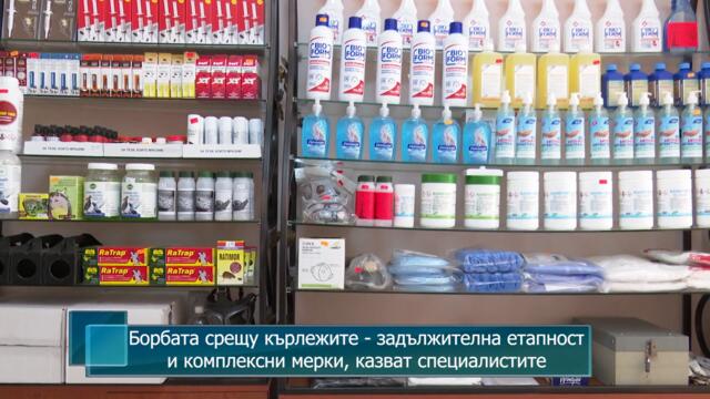 Борбата срещу кърлежите - задължителна етапност и комплексни мерки, казват специалистите