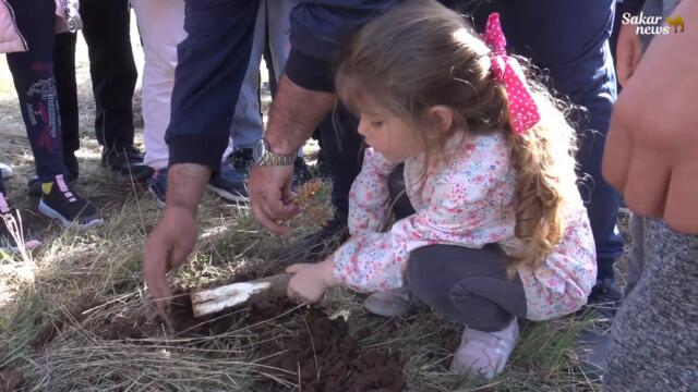Край Тополовград засадиха 1200 дръвчета