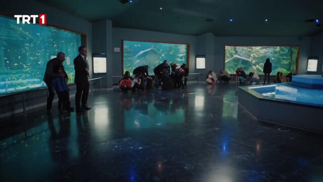 Hayatının En Önemli Anındasın... - Teşkilat 43. Bölüm