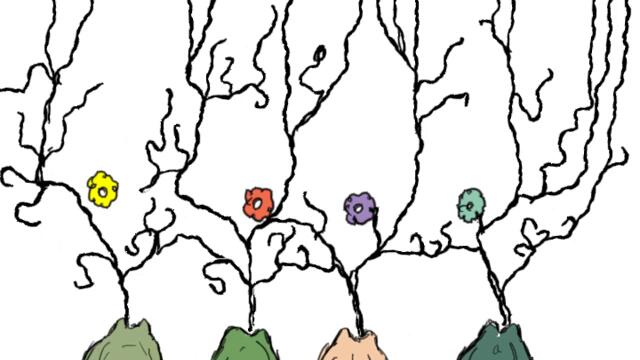 Porcupine Tree - Nine cats