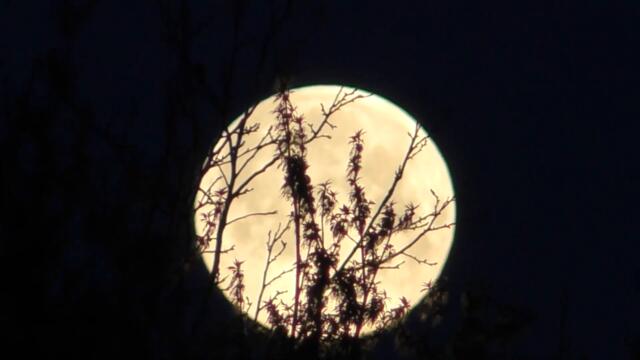 Полнолуние