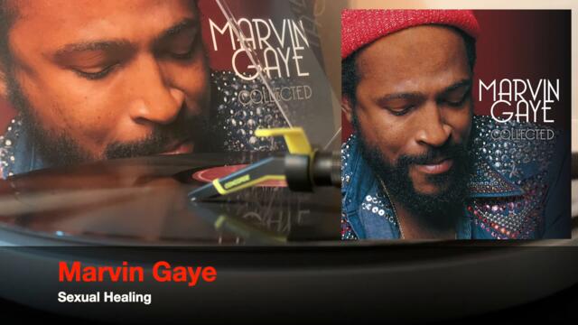 Marvin Gaye / Sexual Healing [Vinyl Source]