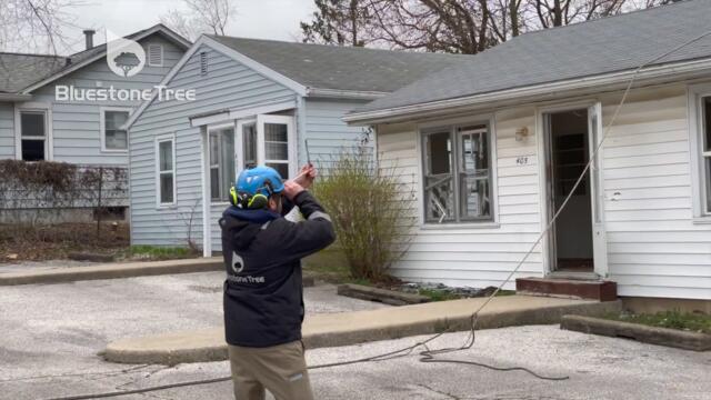 Staged Tree Failure - Felling a Tree Across a House Before Demolition
