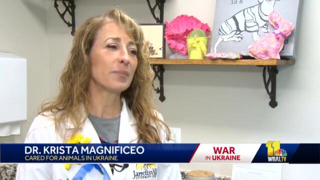 Maryland veterinarian helped rescue animals in war-torn Ukraine