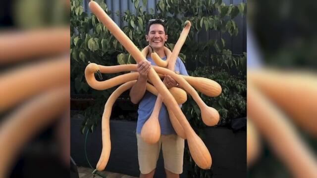 Ну это уже слишком!