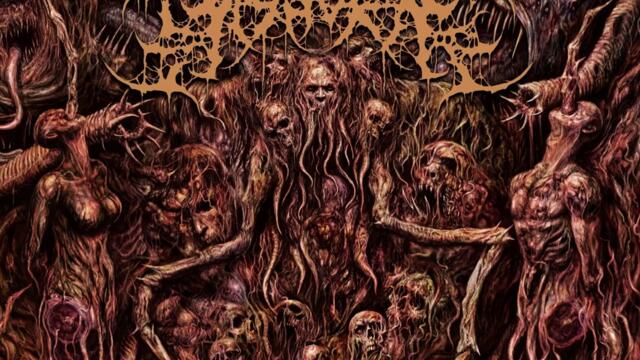 Skullfucking Neonatal Necrosis