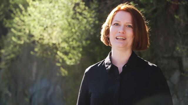 Ask Mojang: What happened to the fireflies in Minecraft 1.19?