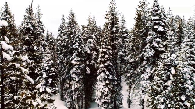 Pipe Down - "Smile", feat. Rilen' Out [OFFICIAL VIDEO]