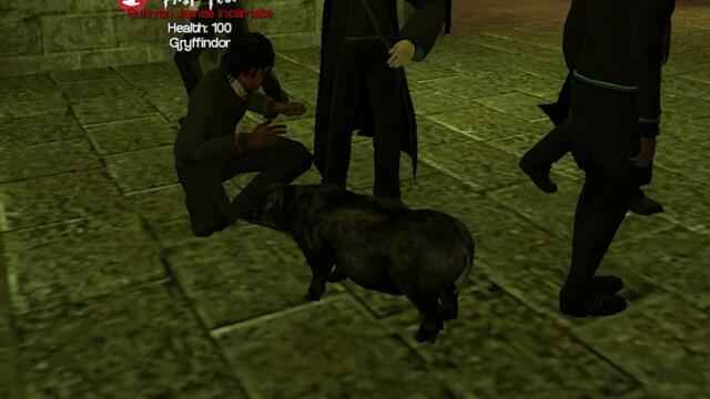 Harry Potter RP but I am an innocent student