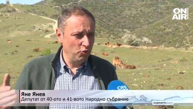 От жълтите павета до зелените поляни: Яне Янев загърби политиката и стана фермер