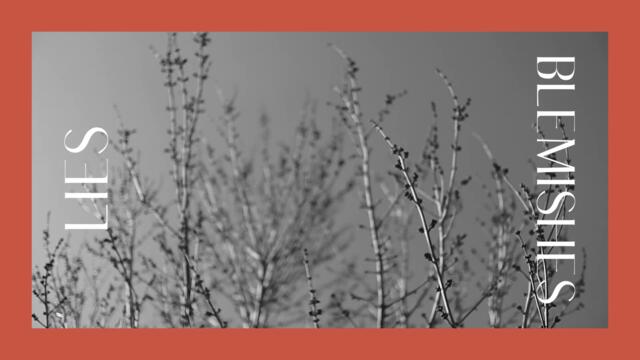 LIES - Blemishes [OFFICIAL AUDIO]