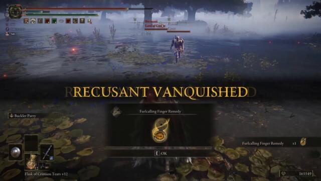 some elden ring parries