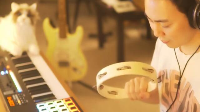 HOW TO 'DISCO CAT' IN TWO MINUTES