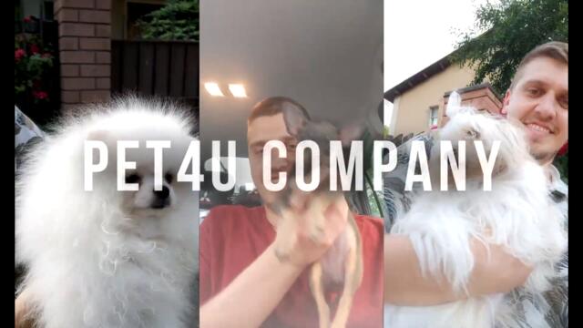 Фонд PET4U. Приют "Дай Лапу Друг".Видео отчеты и отзывы волонтеров. Серега и Шуша. Влог 6.