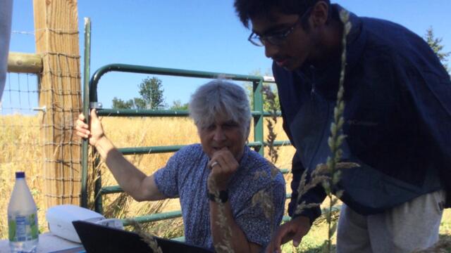 This Teen Inventor Hopes To Stop Road Kill Related Incidents