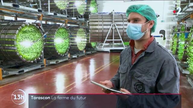 High-tech hyperefficient future farms under development in France