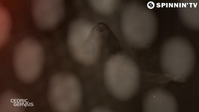 Lana Del Rey vs Cedric Gervais 'Summertime Sadness' Remix