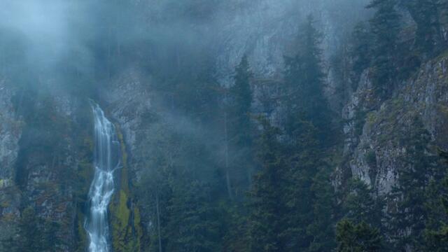 Queen of Borrowed Light