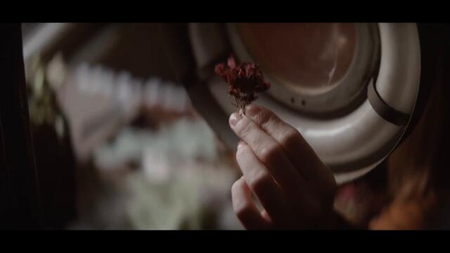 Bloodred Hourglass - Leaves (Official Music Video)