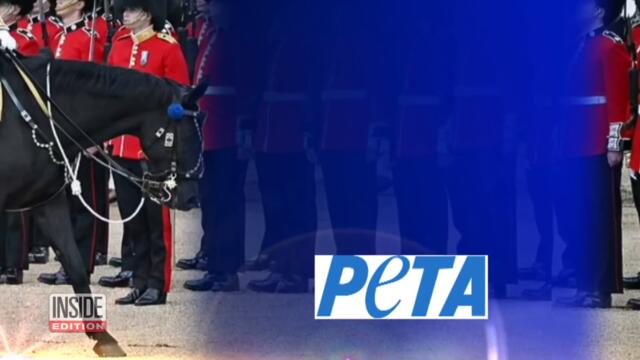 Meghan and Harry Keeping Low Profile During Queen’s Jubilee