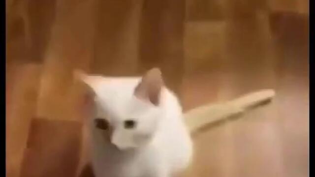 Hi Herbert - Original Trilogy Completed (Young, Teen and Adult)