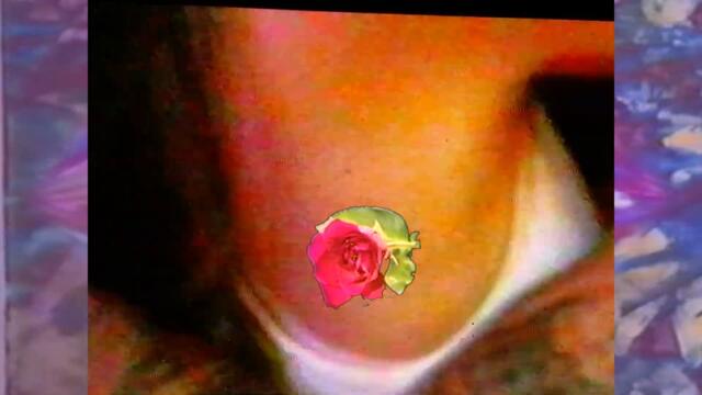 SHOUSE - Won't Forget You (Kungs Remix)