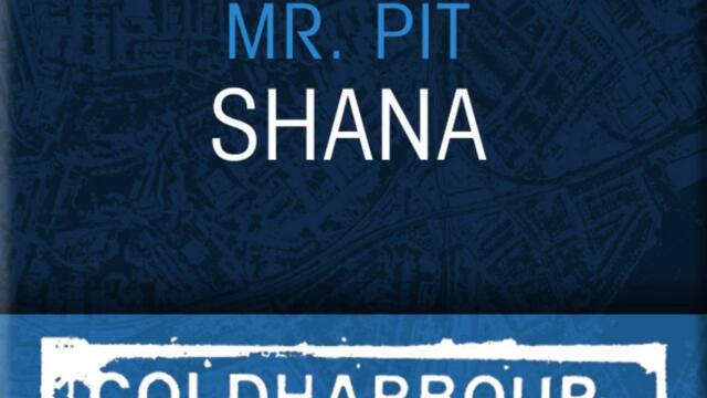 Shana (Plastic Angel vs. Dunderstadt Remix)