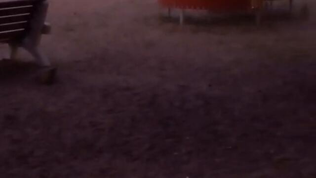 Петрозаводск полнолуние ''пески''