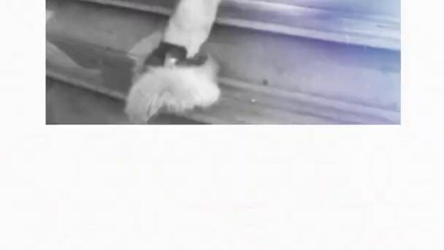 WOMEN’S HACKS #short