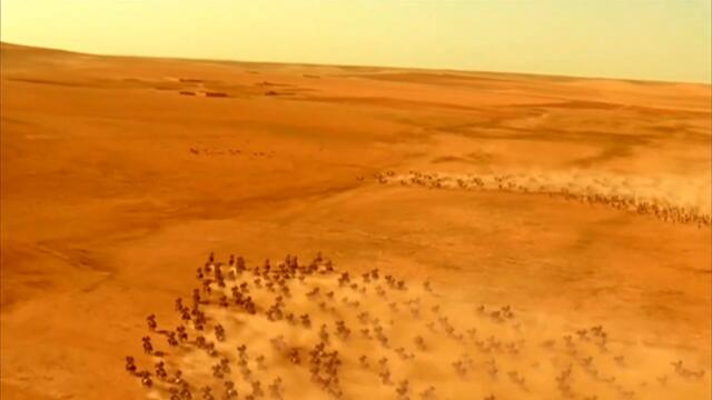 Александър Македонски Кючек[Коня Вихър Edit]