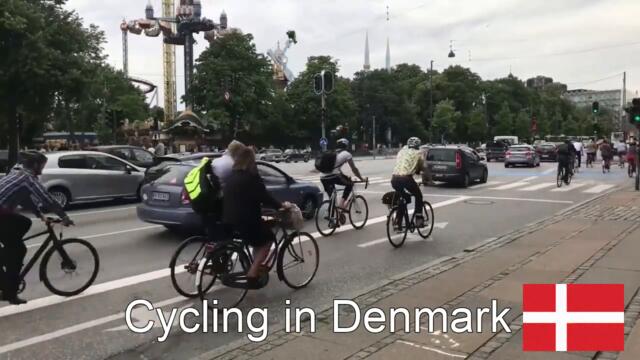 Cycling in Denmark VS Iceland