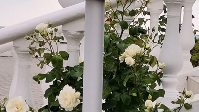 Расслабляющая музыка и Божественная красота природы...