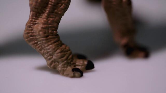 🦖 Пахирінозавр (Pachyrhinosaurus) 🟢 птахотазовий динозавр