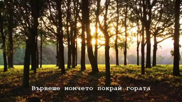 Shodi  -  Три желания