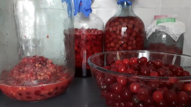 Вишняк, вишнева наливка і вино із вишень.Три рецепти в одному відео.Спробуйте,Вам сподобається.