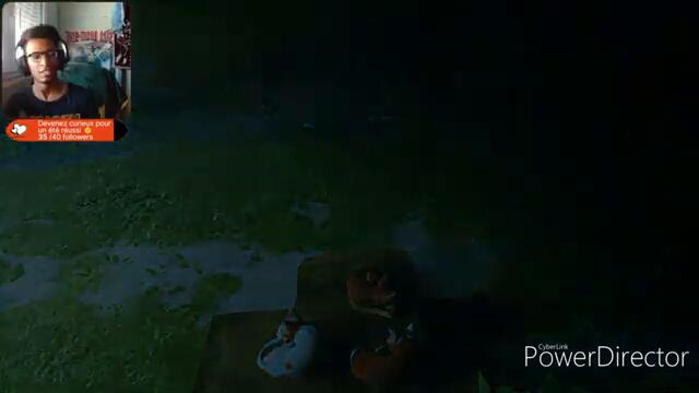 À MIAOU DE RIRE 😹 | Stray best-of #1