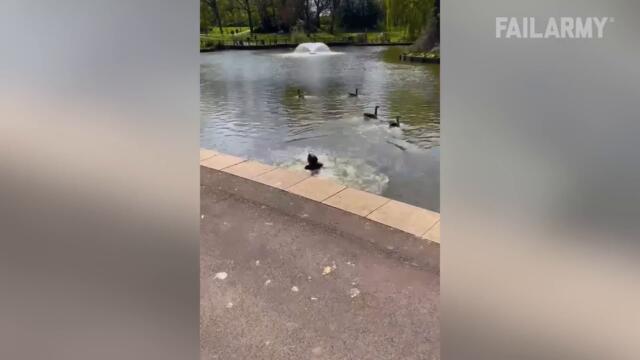 Overly Ambitious - Fails of the Week | FailArmy