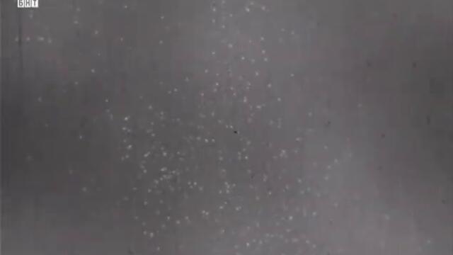 🎥 Васката (1964) 🤍💚❤️