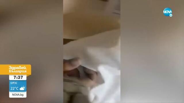 Жена твърди, че е грубо изхвърлена от сградата на „Напоителни системи” - Здравей, България