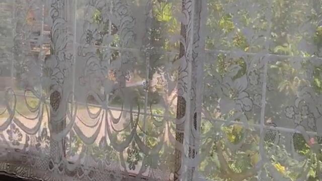 Оръжието "Змия"