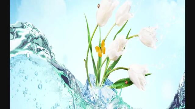 Andy Moor Vs M.I.K.E. - Spirit's Pulse (Omnia Remix)