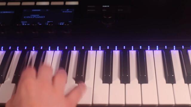 Cat in a box | Korg Minilogue xd