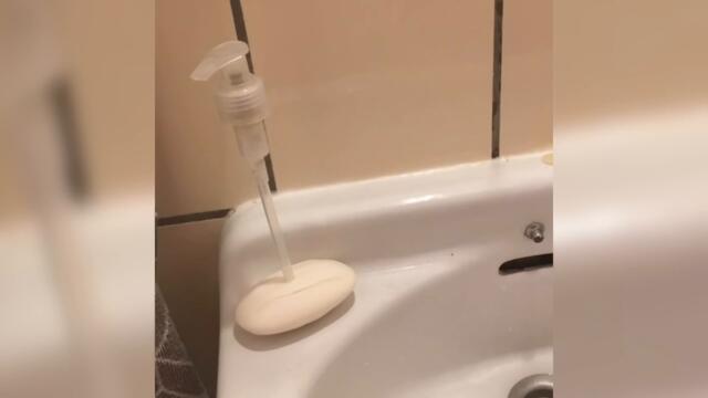 Сумасшедший мир и его обитатели