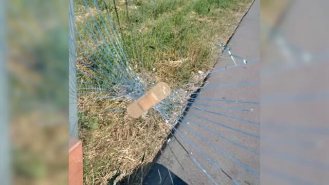 Фото подписчиков Фактории (135 часть)